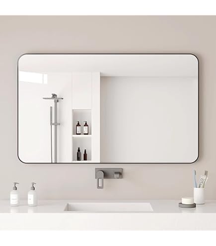 Amazon.co.jp: ダルトン(Dulton) 棚付き鏡 ステンレス スチール